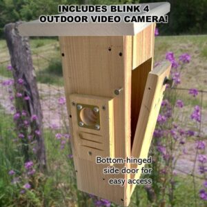 Bluebird House with Video Camera