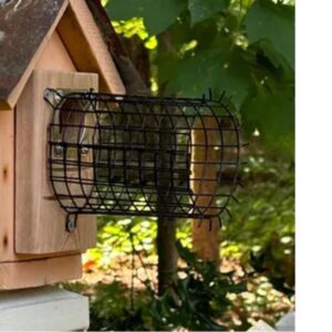 Birdhouse Predator Guard Leonard